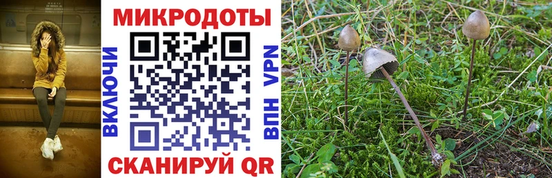 Псилоцибиновые грибы Magic Shrooms  Нижний Новгород 
