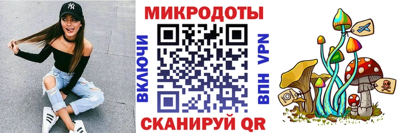 Псилоцибиновые грибы мицелий Нижний Новгород